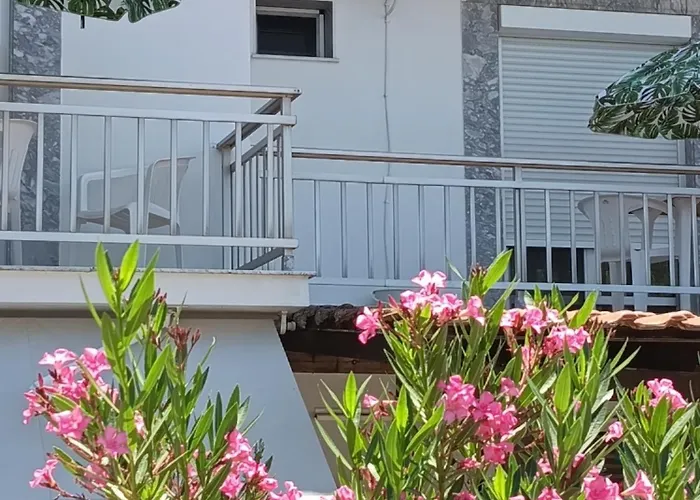 B&B Soti's